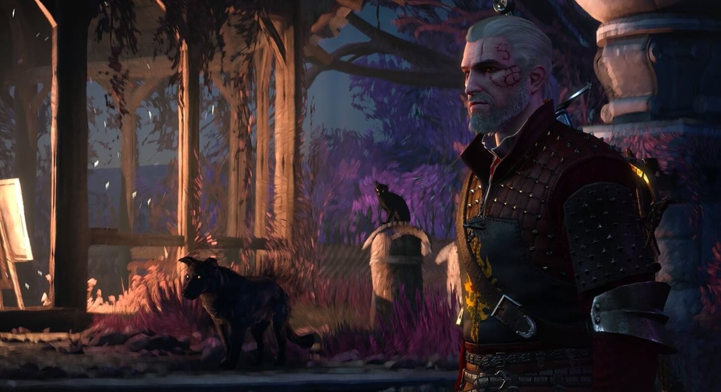 the witcher 3 15