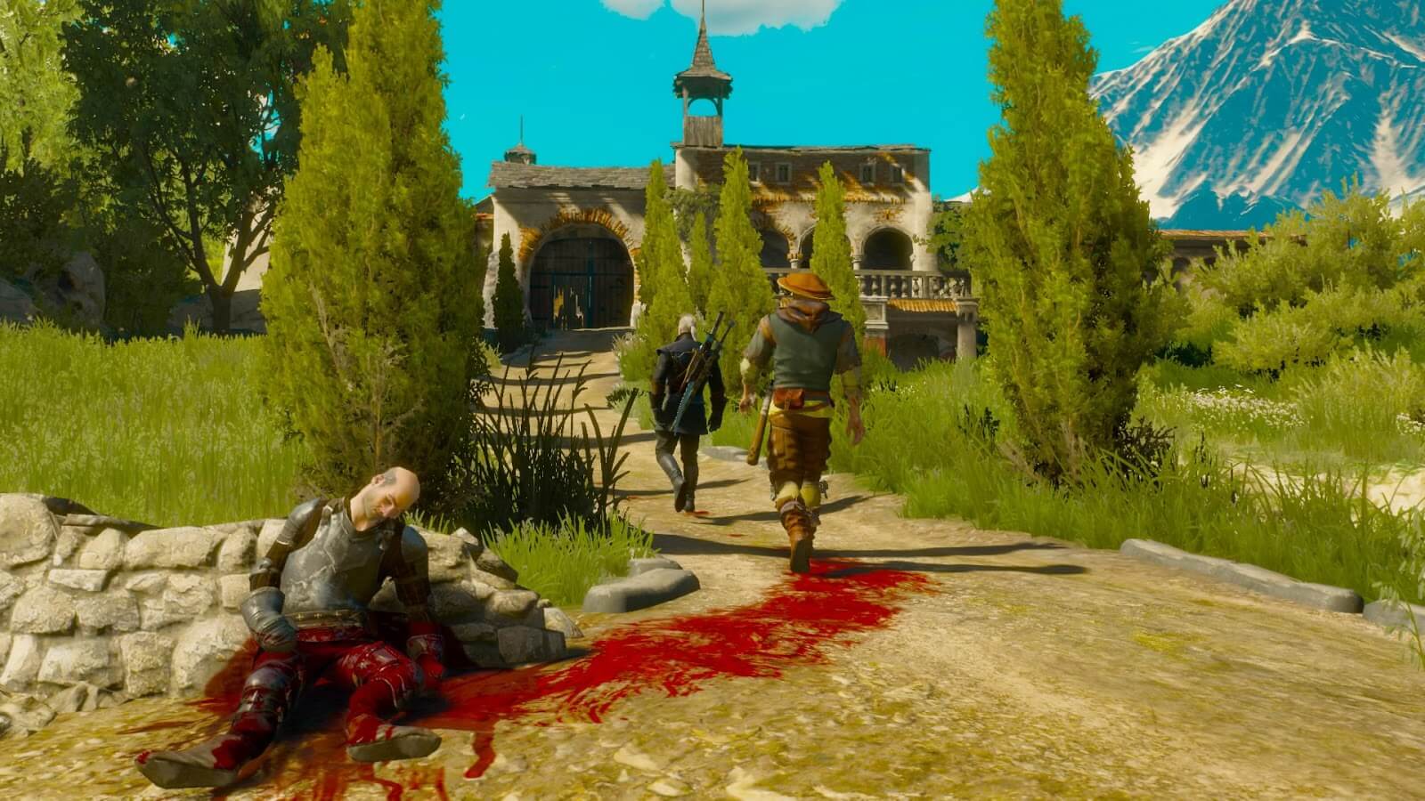 the witcher 3 16