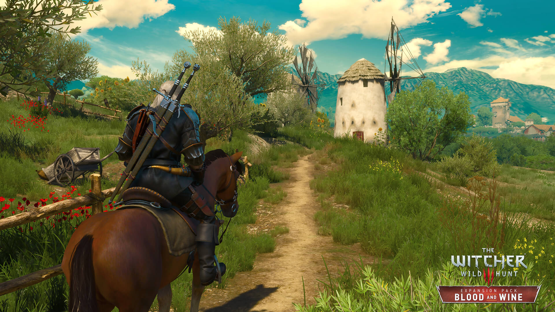 the witcher 3 18