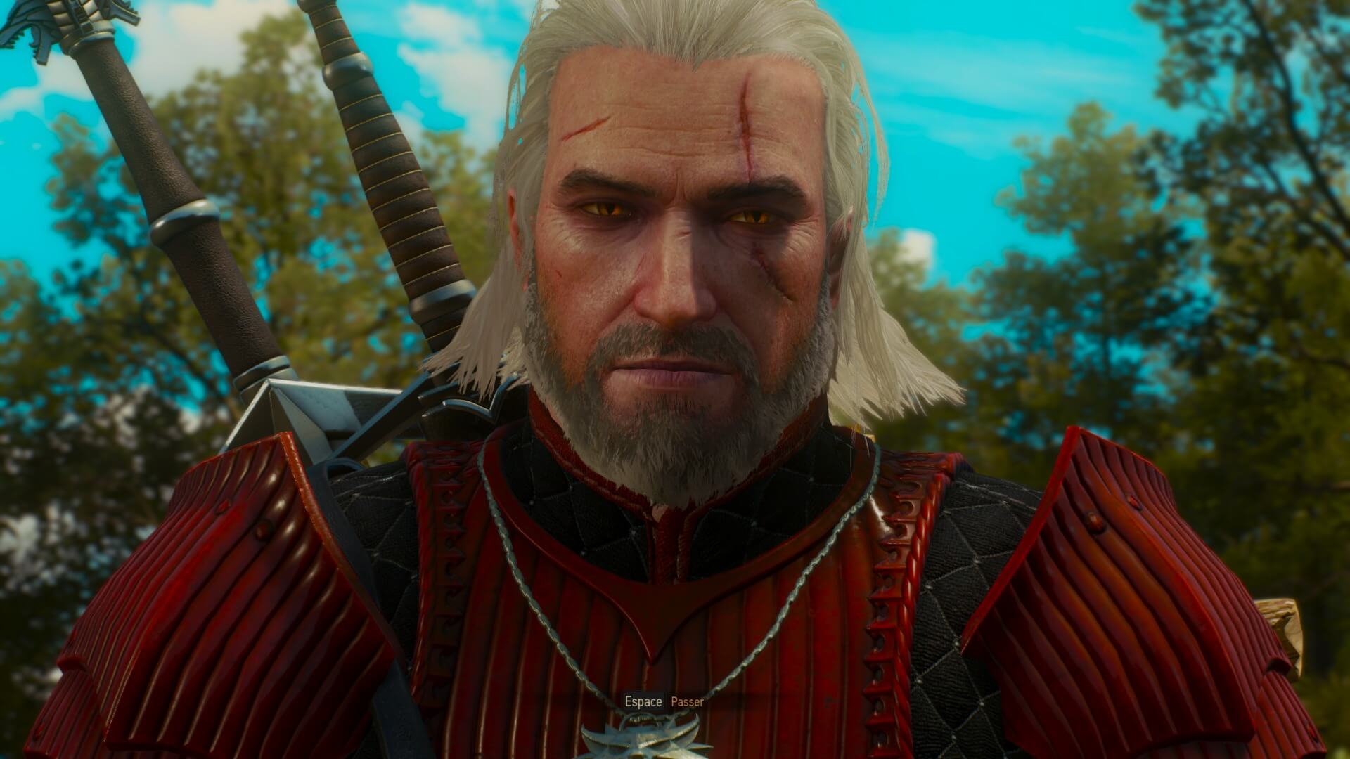 the witcher 3 22