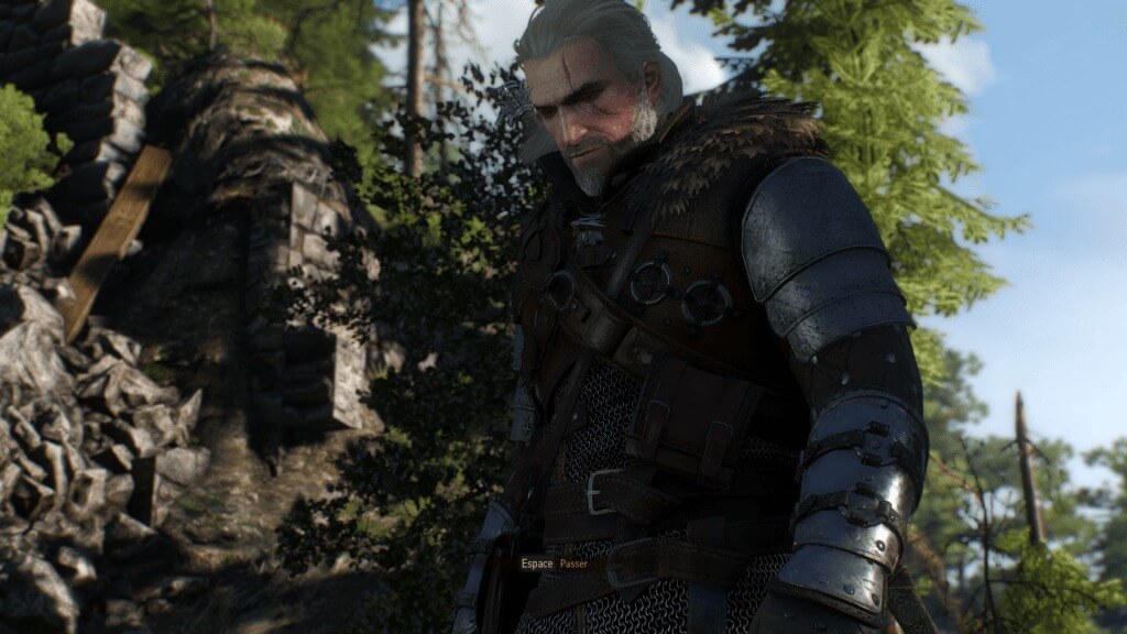 the witcher 3 23