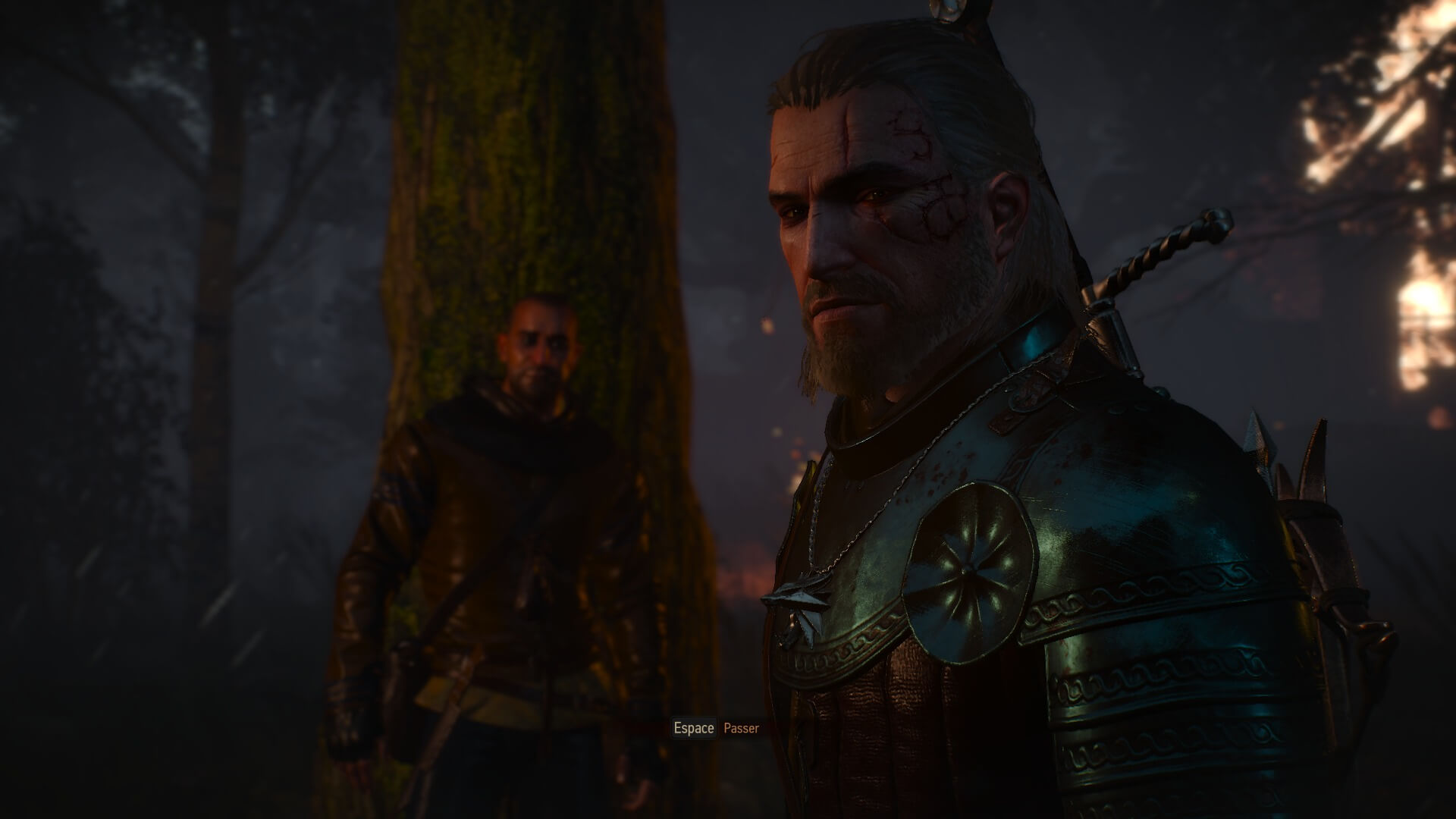 the witcher 3 26