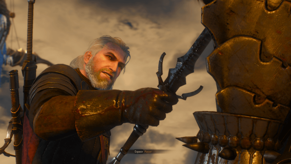 the witcher 3 28