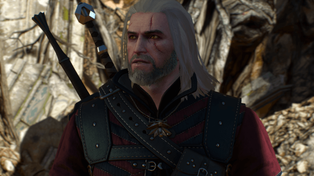 the witcher 3 33