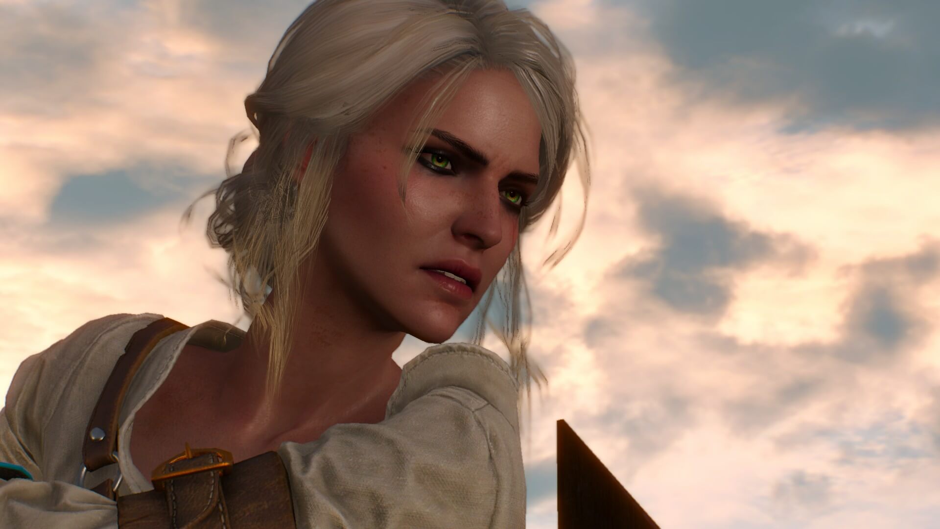 the witcher 3 42