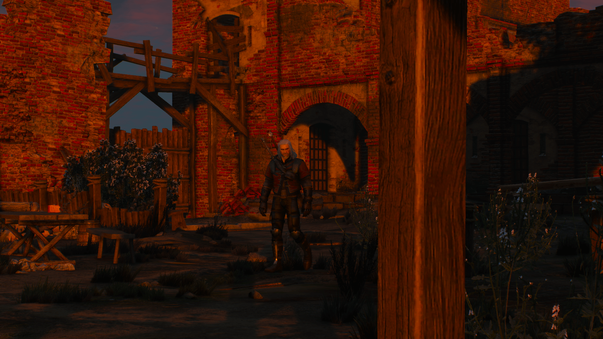 the witcher 3 48