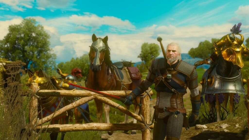the witcher 52