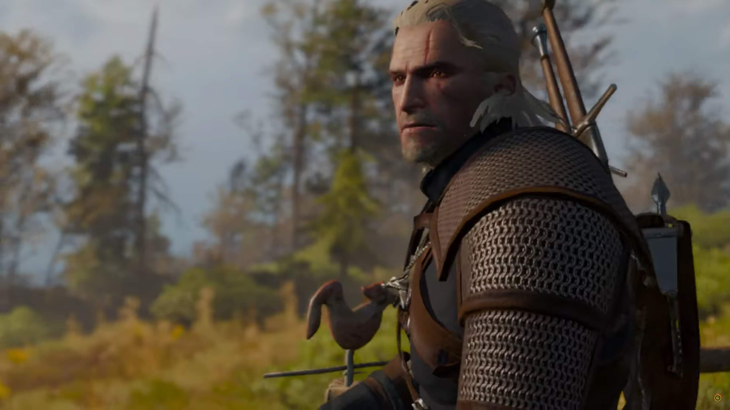 the witcher 3 53