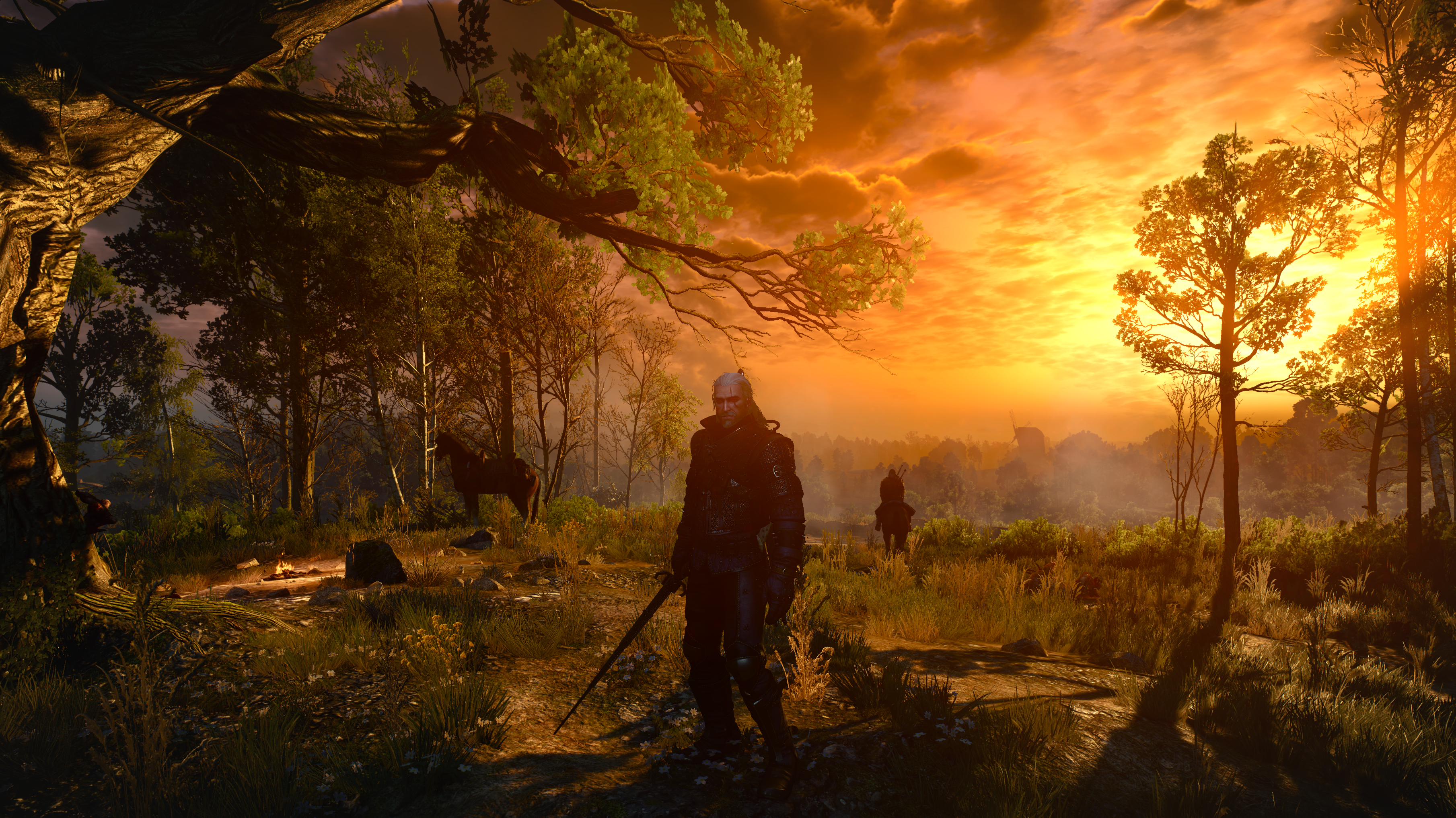 the witcher 3 56