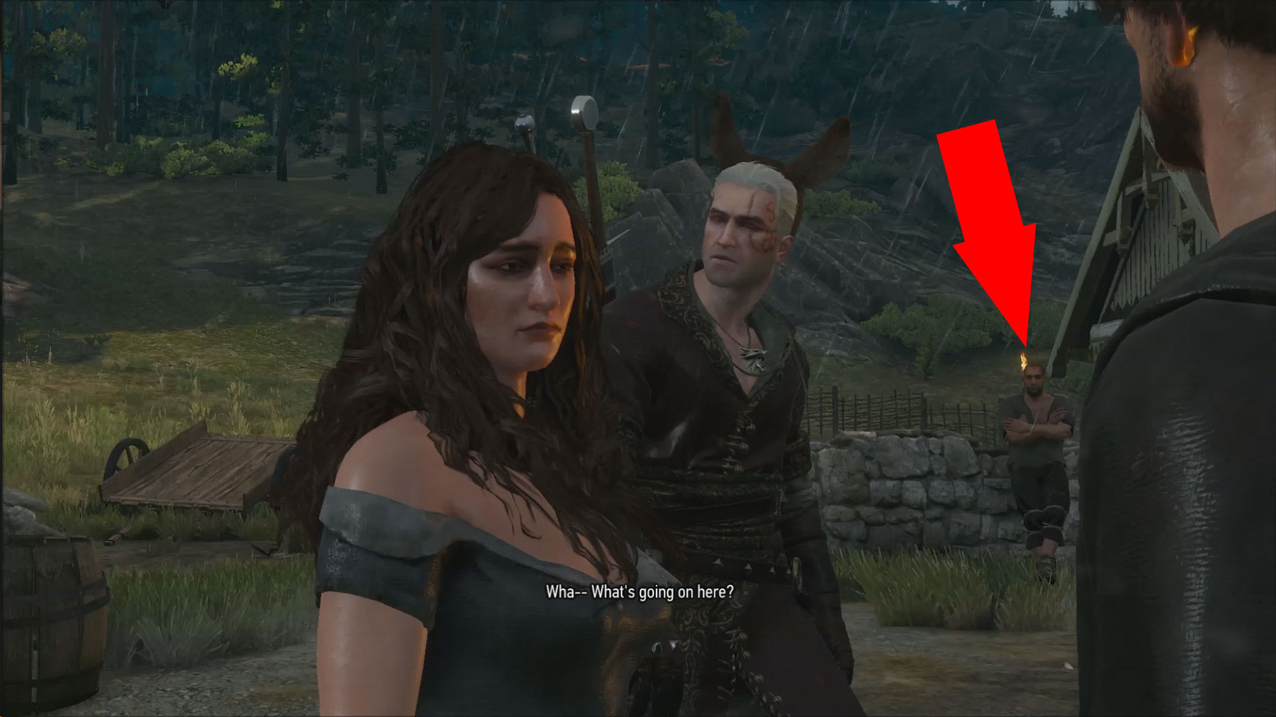 the witcher 3 62