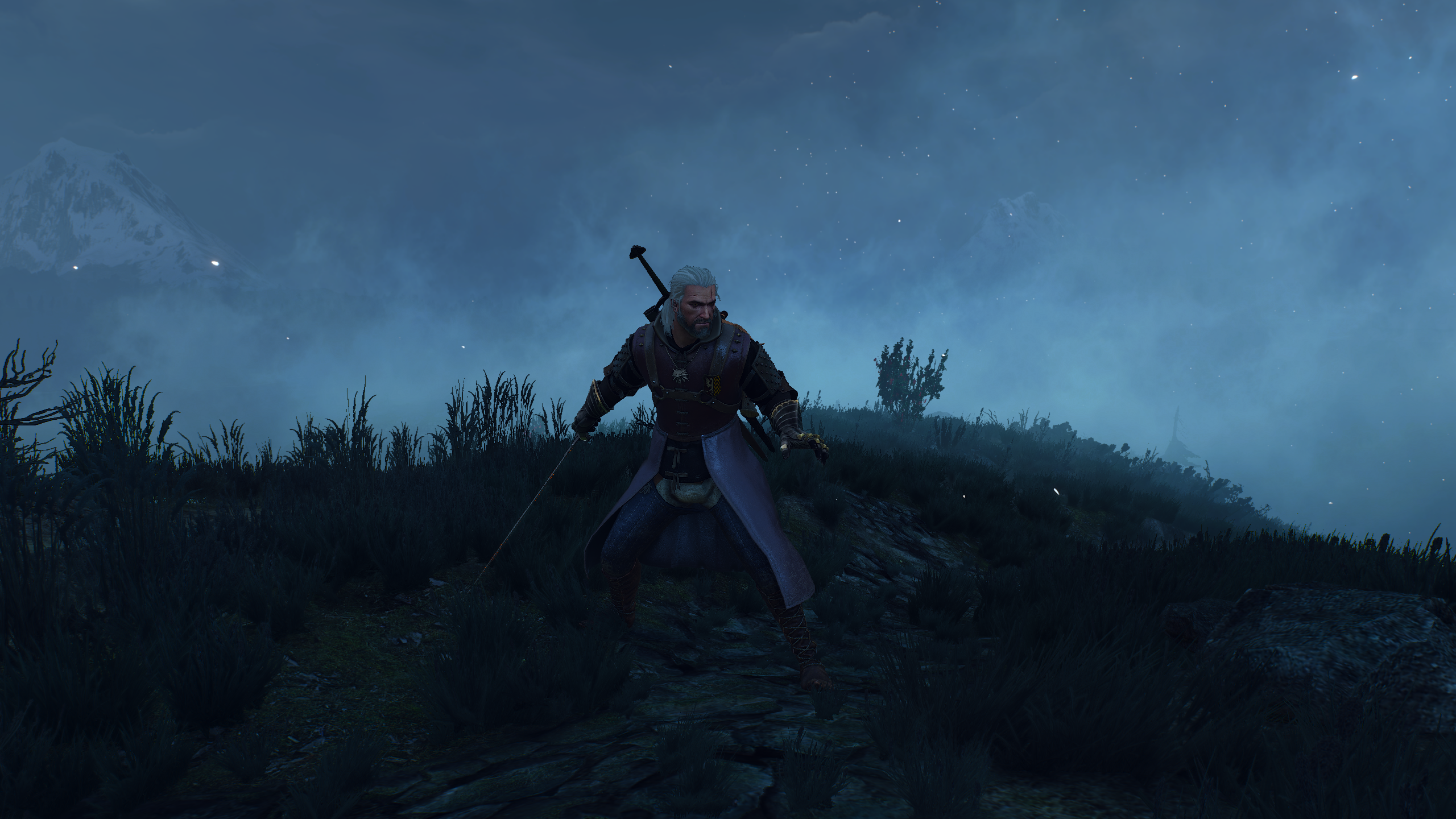 the witcher 3 77