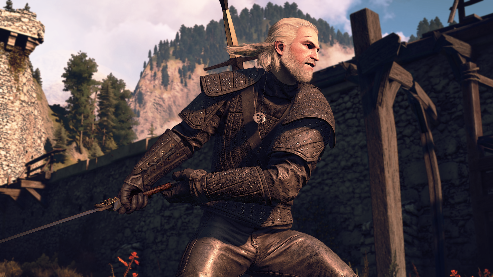 the witcher 3 115