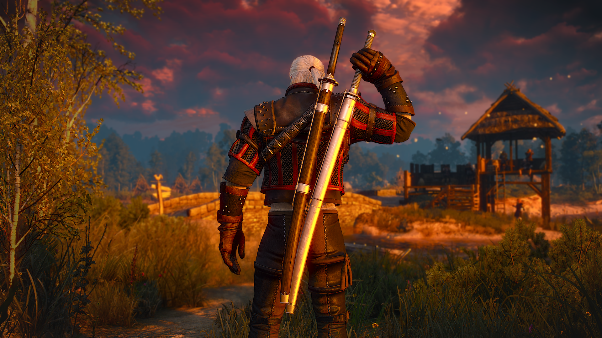 the witcher 3 117