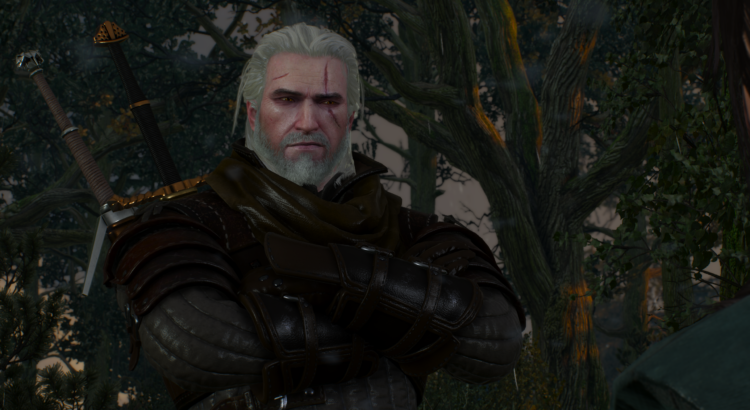 the witcher 3 123