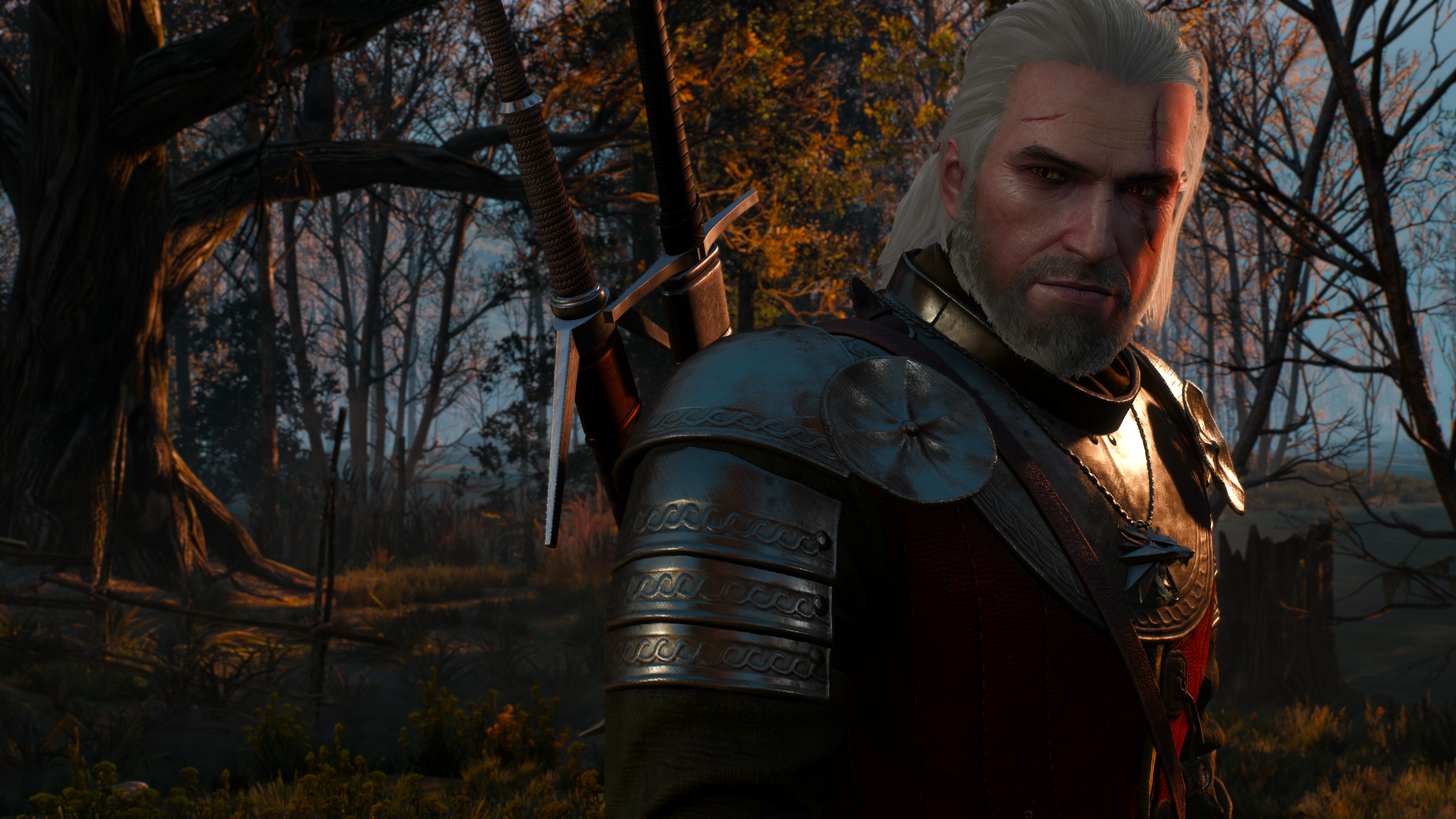 the witcher 3 128